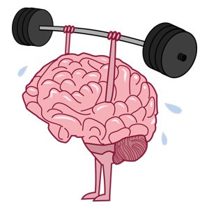 פעילות גופנית מפתחת את המוח