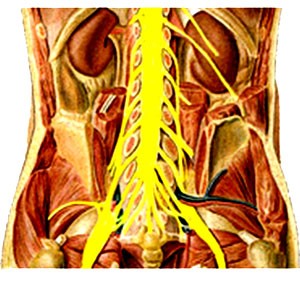 פציעה של חוט השדרה