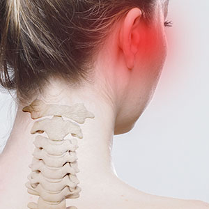 מה הקשר בין מפרק הלסת לצוואר